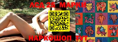 Альфа ПВП Ставрополь