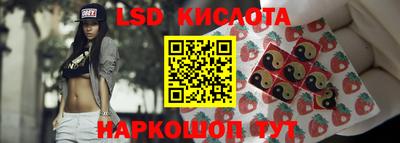 Альфа ПВП Ставрополь