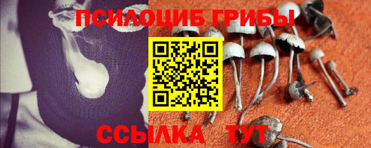 Псилоцибиновые грибы мухоморы  Галлюциногенные грибы Magic Shrooms  Вход с VPN  Новочебоксарск 
